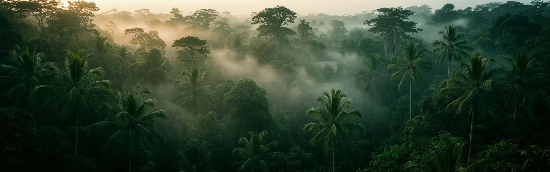 Bali Atmosphere