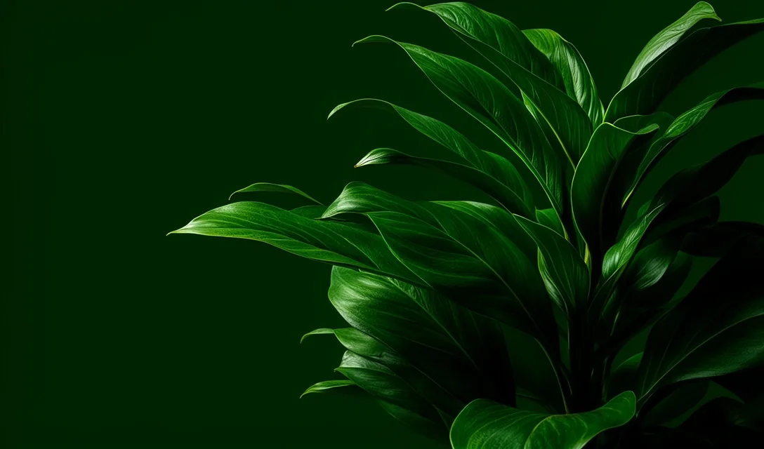 Sustainable botanical life